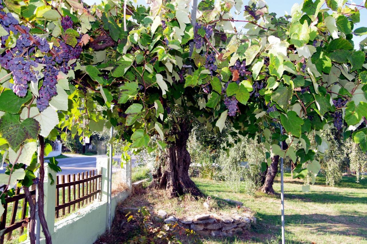 Athina Hotell Koinyra Exteriör bild